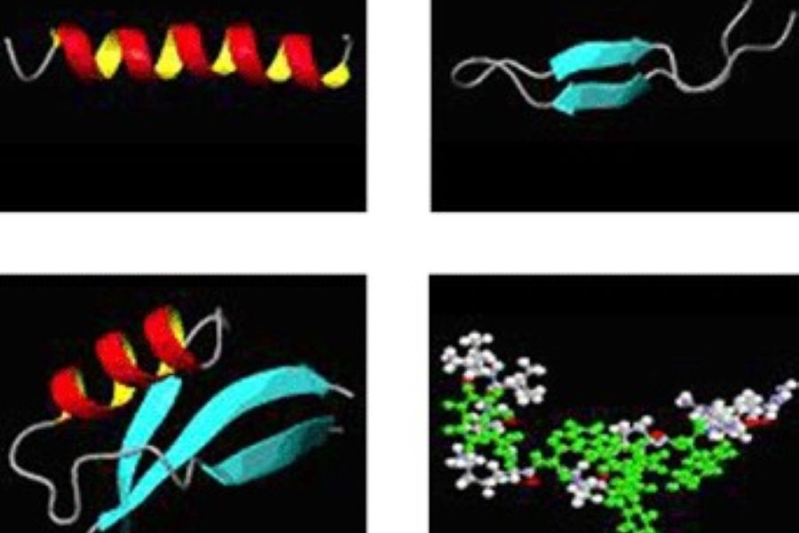 Peptide images