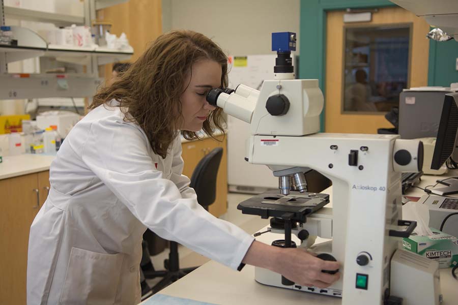 Tammy Kielian, PhD