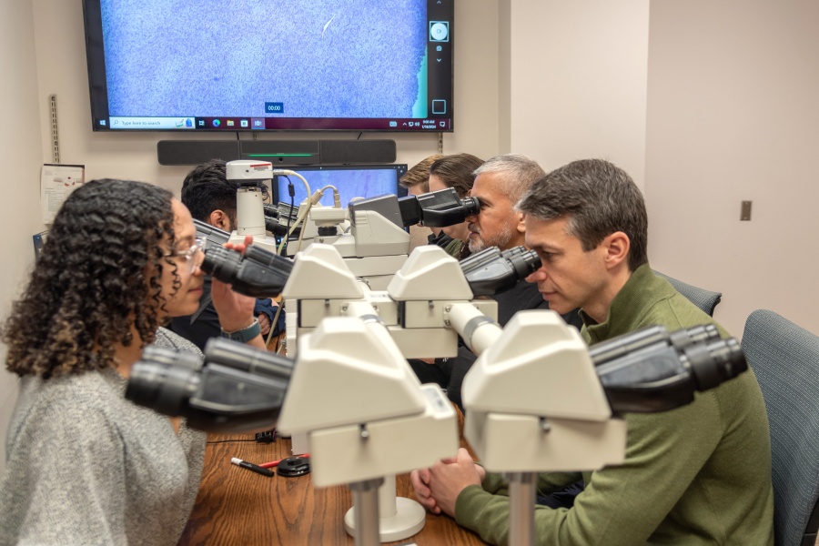Six people looking through microscopes with slide image projected on wall screen