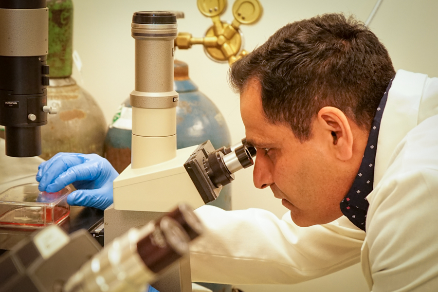  Dr. Nagendra Chaturvedi looking through a microscope