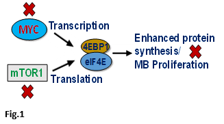 illustration of research as described in text