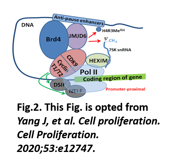 illustration of research as described in text