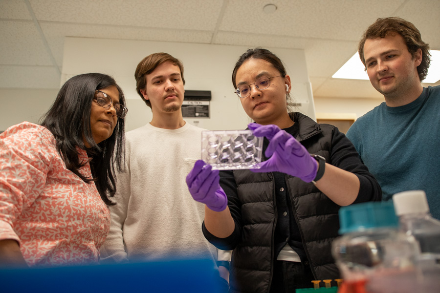 four lab works look at object being help up by one of the workers