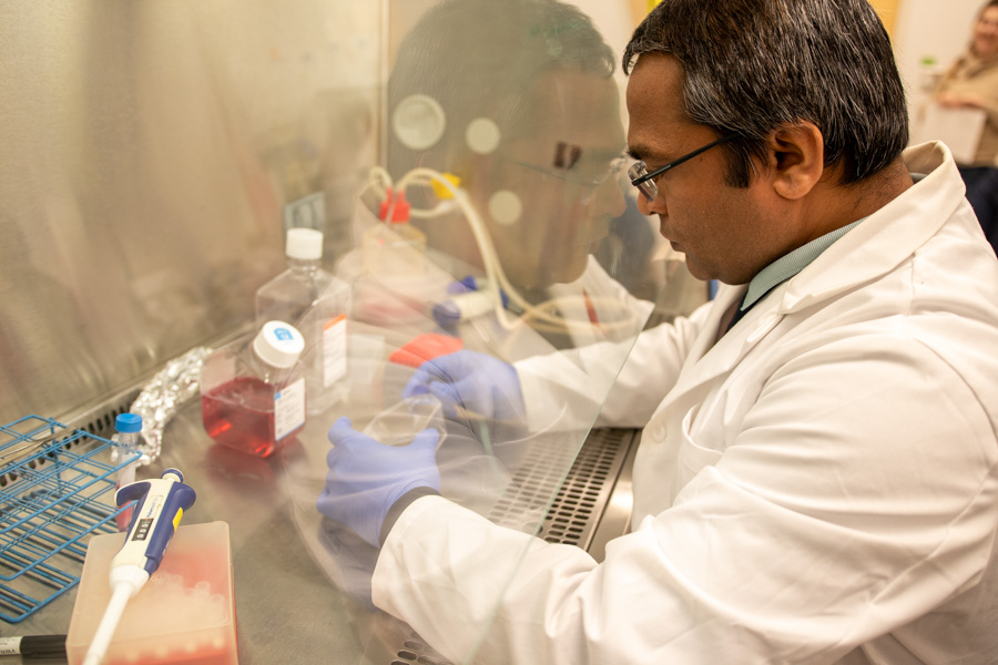 lab worker works under hood lab equipment