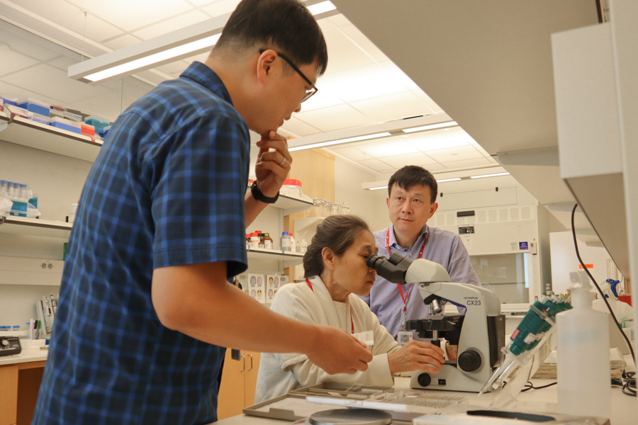 Scientists working in a lab