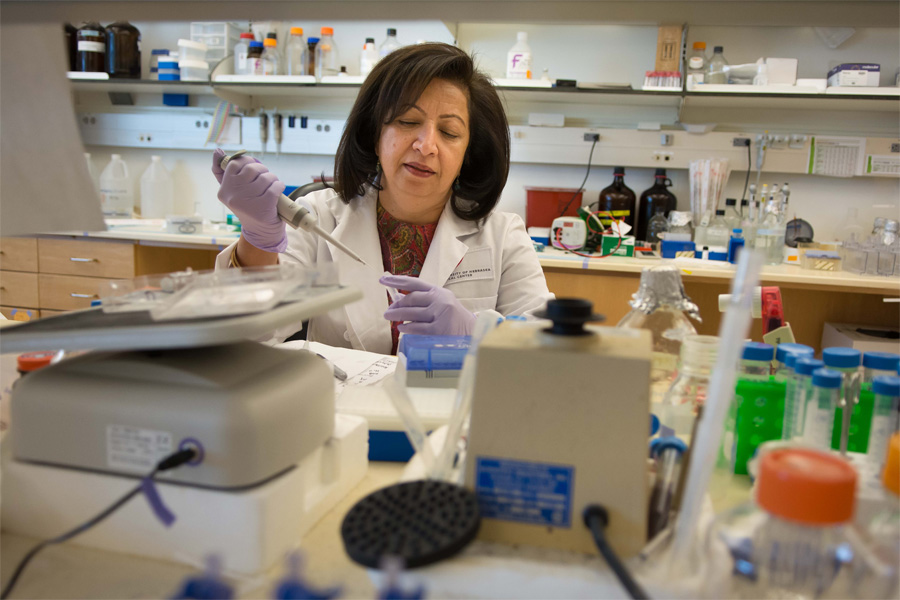 A woman in a lab coat transfers liquid in a laboratory