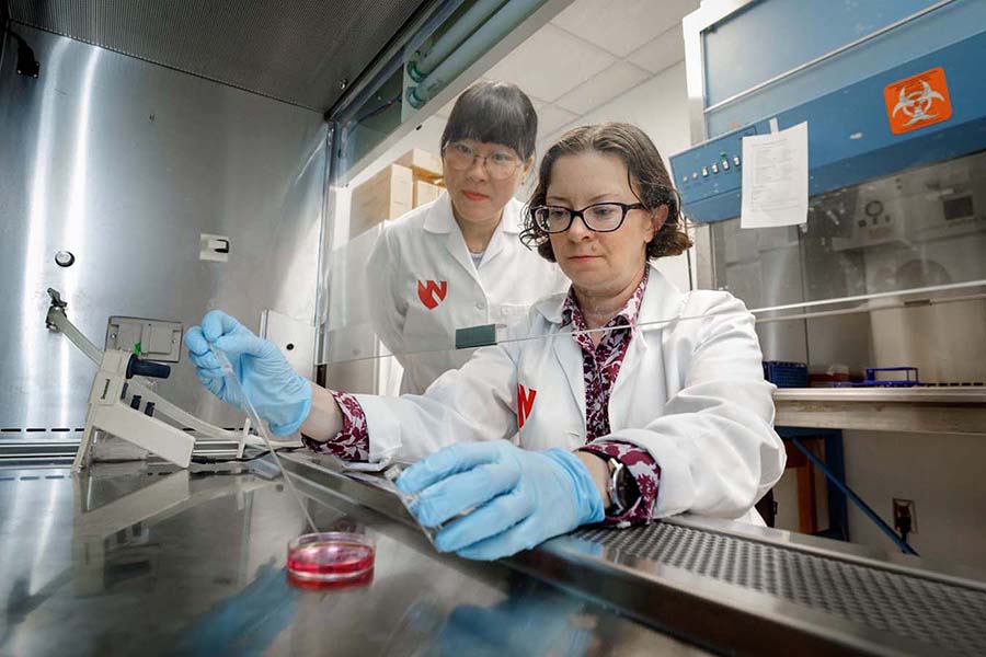 Faculty members provide mentors and career development to UNMC graduate students in physiology.