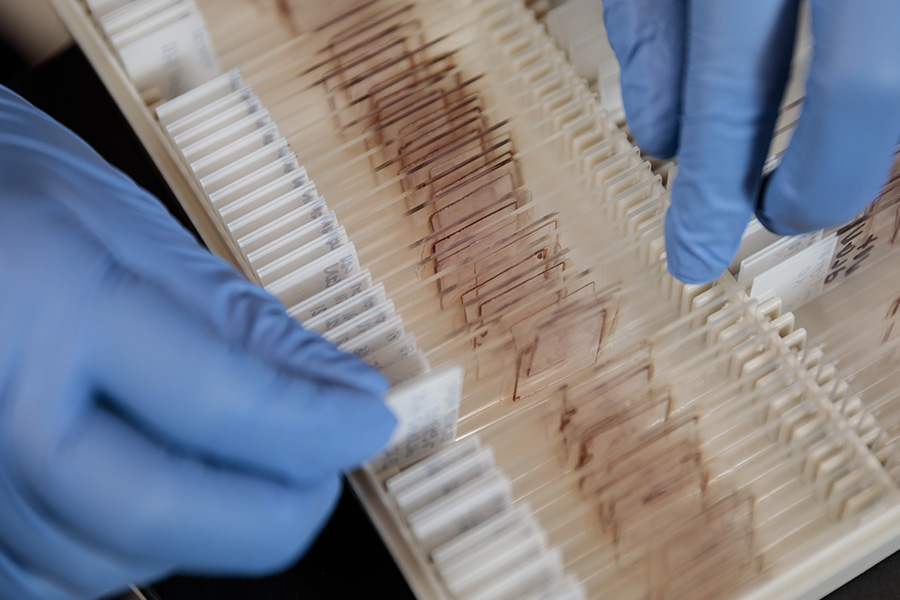 Hand sorting through box of slides