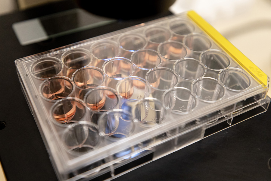 Up-close shot of vials sitting on the counter in lab