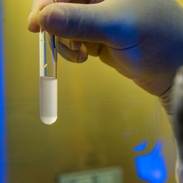 Gloved hand holding a test tube