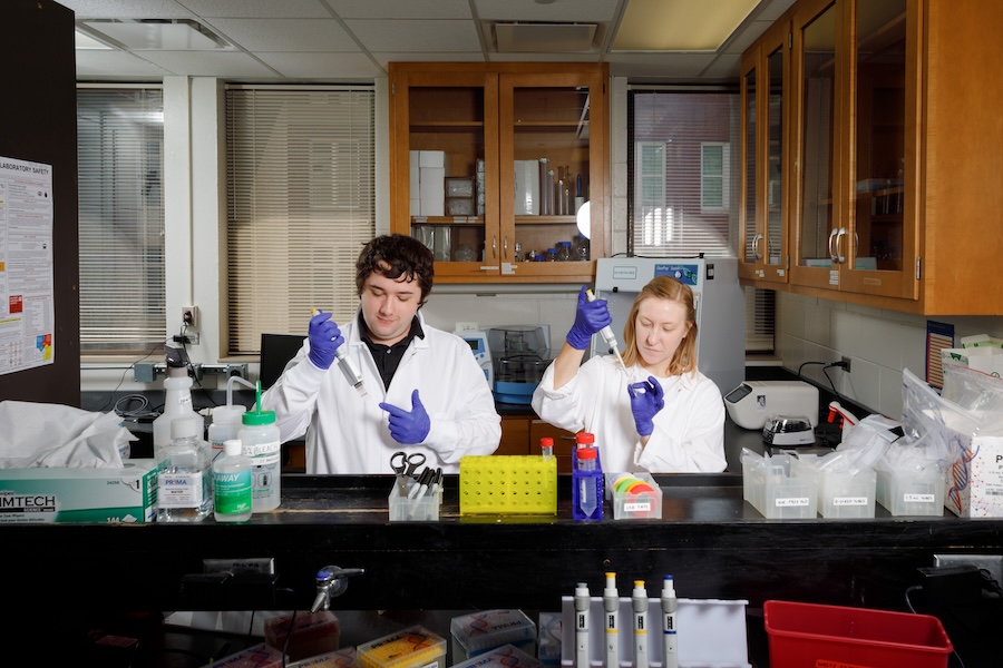 Two researchers using pipettes in a lab.