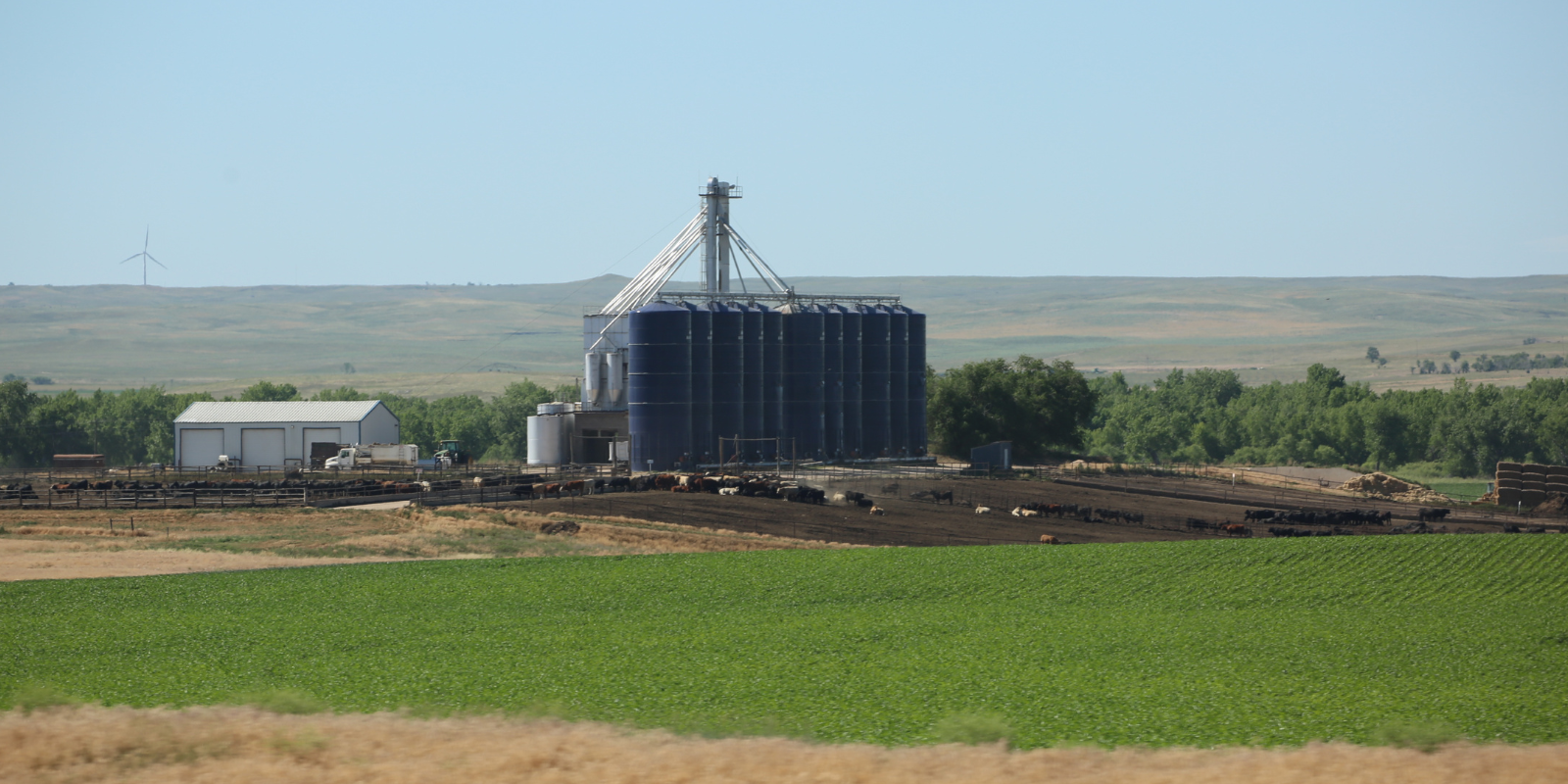 Feedyard Hero Large