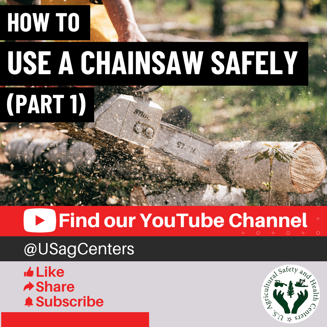 Graphic 1 - How to use a chainsaw safely part 1