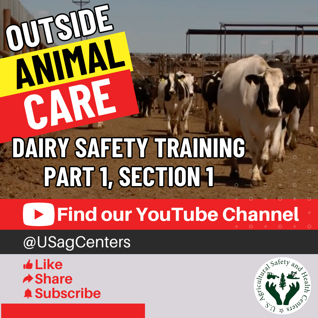 Graphic 5 - Outside animal care (Dairy safety training part 1, section 1)