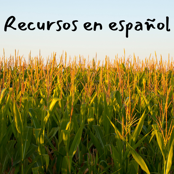 A field of green corn with blue sky above, the words "Recursos en español" are in black handwriting across the blue sky.