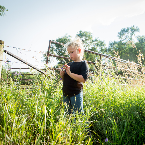 A young girl with blonde hair, a black shirt, and jeans, is standing in long grass near a fence.
