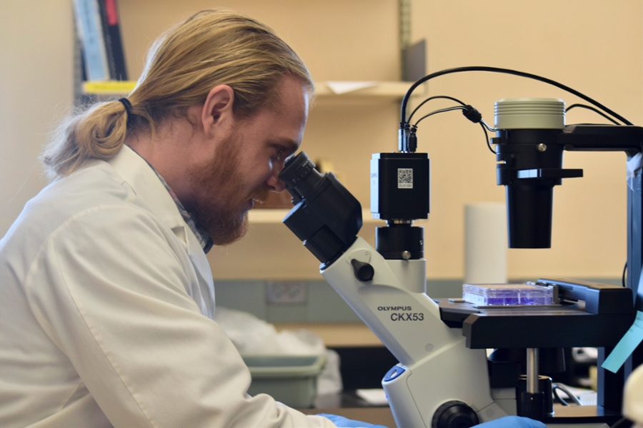 A researcher at a microscope