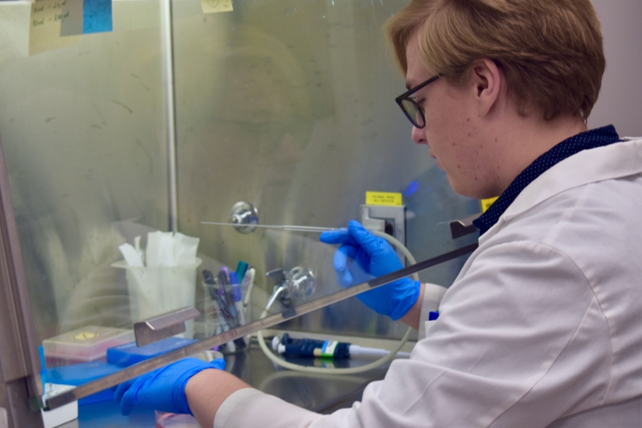 A researcher works with specimens in a lab.