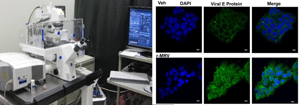Equipment setup within the core and representative images of scans captured by this instrument. Reference image from Muthuraj et al. 2021 (Fig. 3E) - https://pmc.ncbi.nlm.nih.gov/articles/PMC8226770/