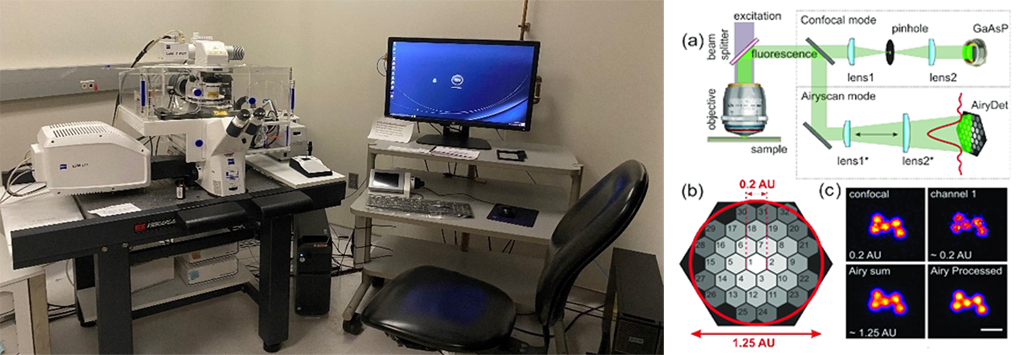 Equipment setup within the core and a diagram of the airyscan microscope principle and configuration. Reference diagram from Korobchevskaya et al. 2017 (Fig 1) - https://doi.org/10.3390/photonics4030041