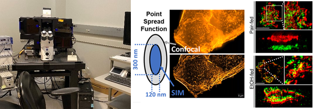 Equipment setup within the core, diagram of point spread function principle (adapted from Zeiss), and representative images of scans captured by this instrument. Reference image from Casey et al. 2022 (Fig. 3C) - https://pmc.ncbi.nlm.nih.gov/articles/PMC8793998/