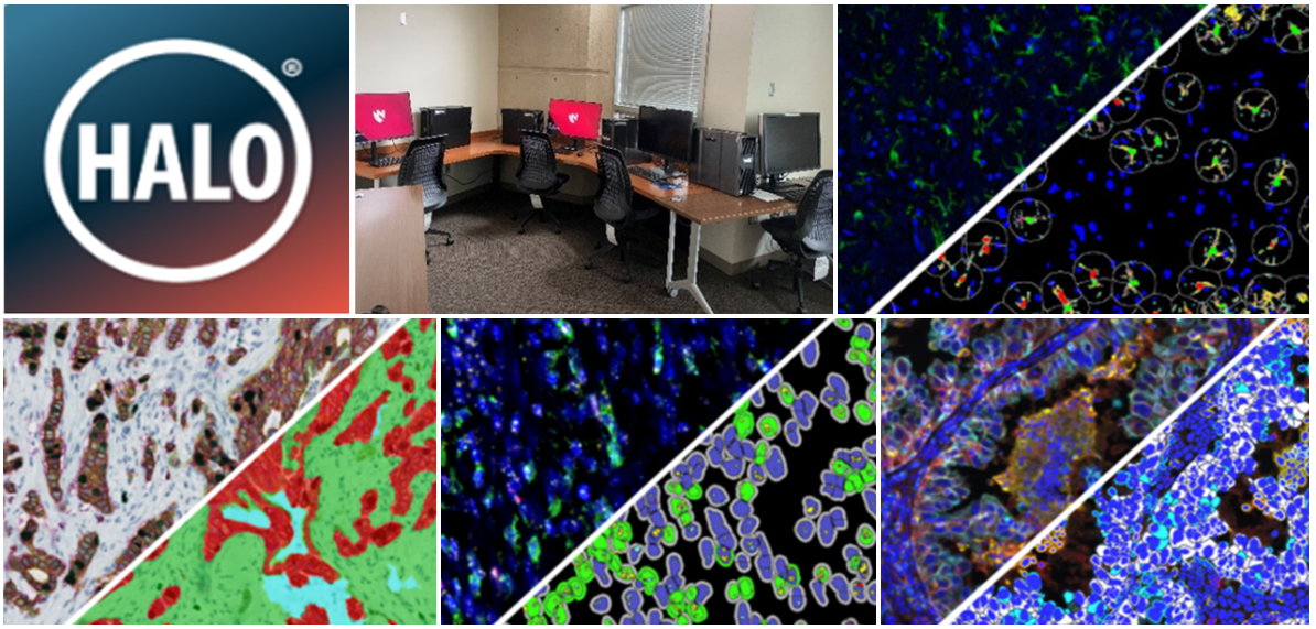 Multi-image collage: HALO logo; data analysis workroom; representative examples of tissues imaged using various HALO modules.