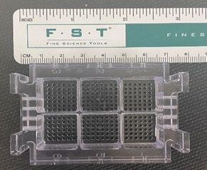 X-Clarity sample plate