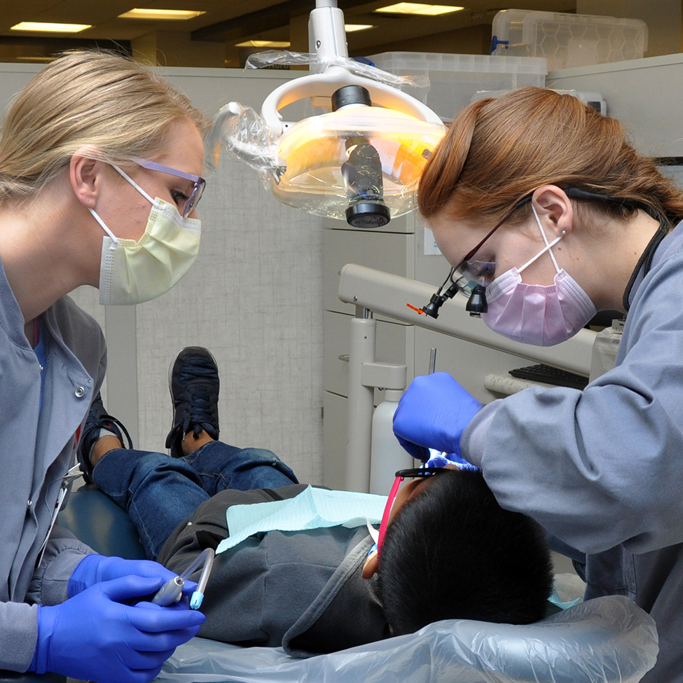 dentistry students examining a patient