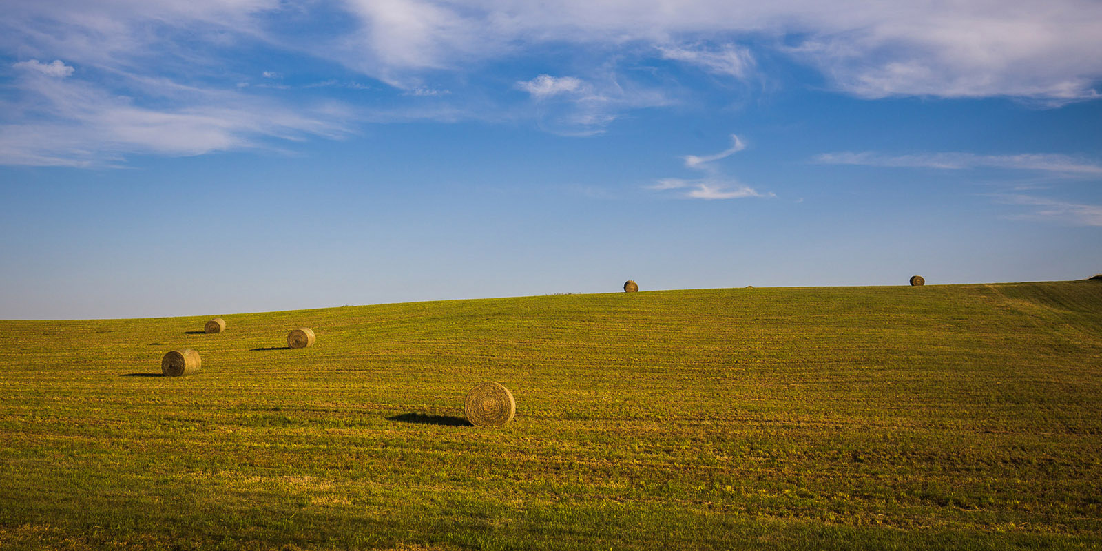 Nebraska hay field