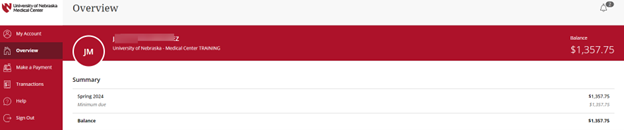 Overview screen of the E-Payment System