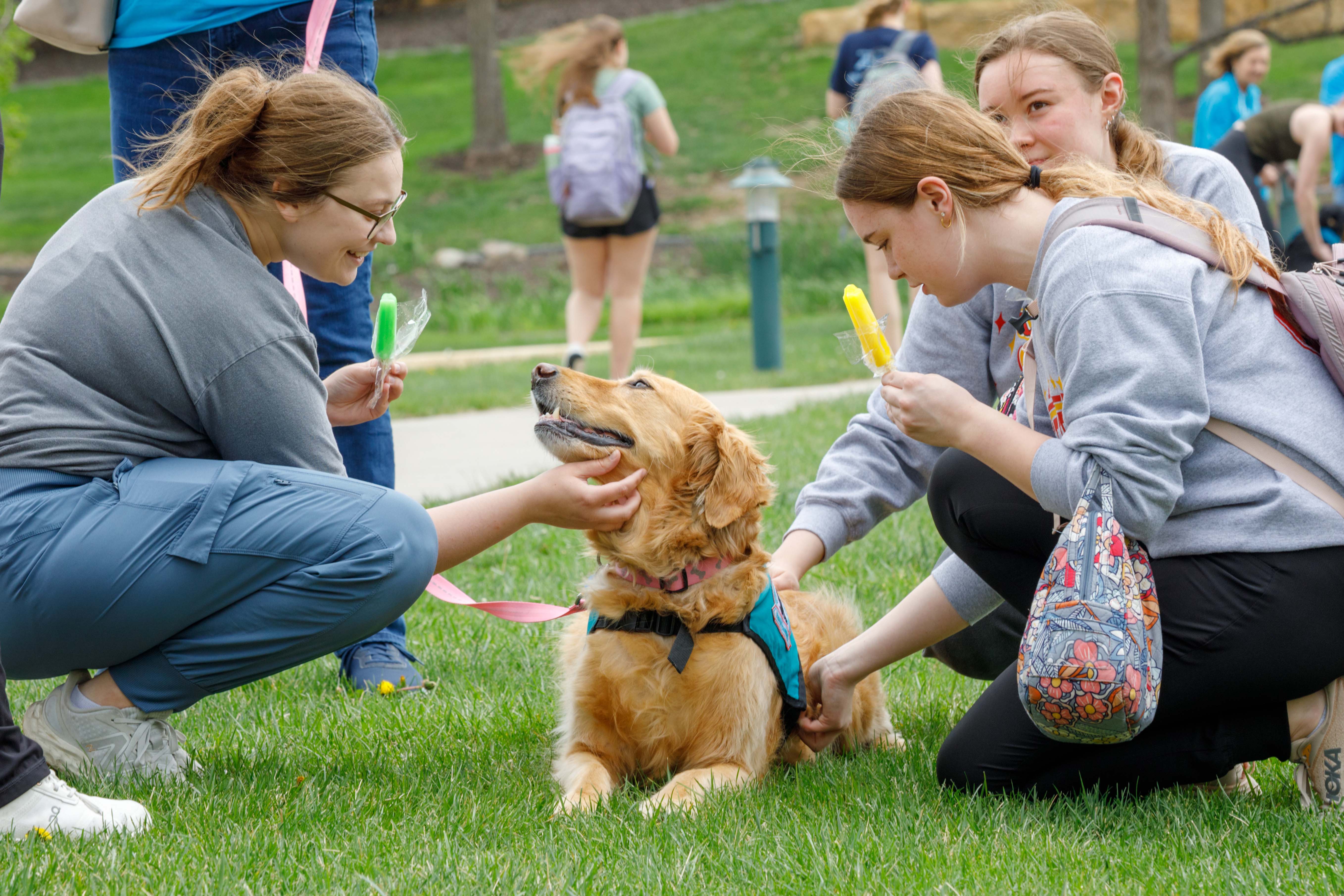 Students surround a golden retriever as part of a campus event including support animals and popsicles.