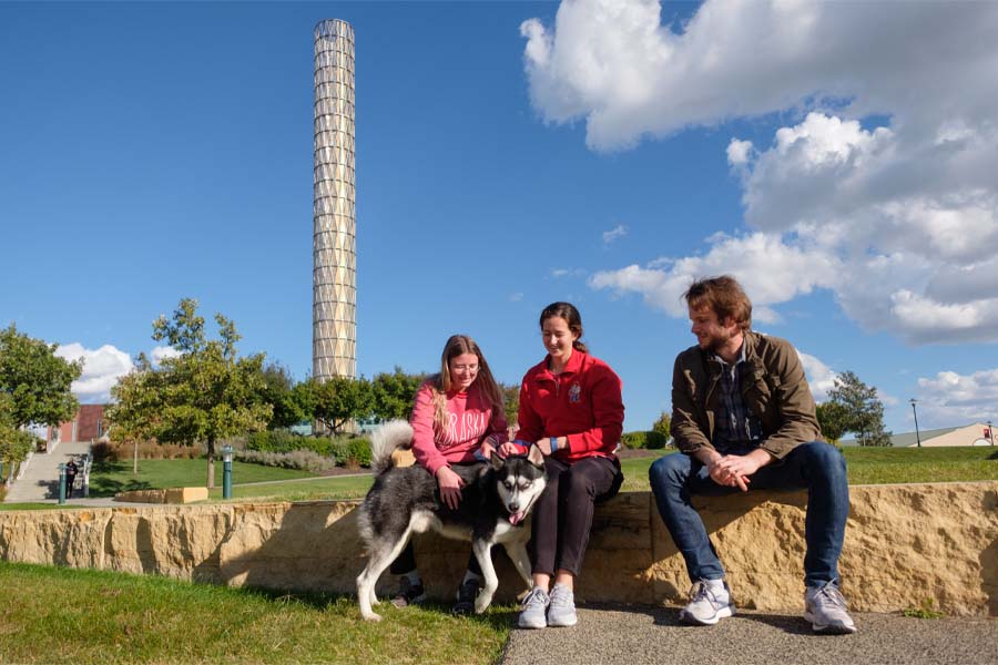 Three students pet a husky on UNMC's campus