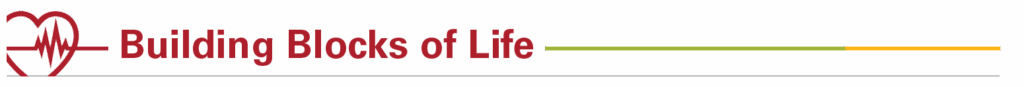Building Blocks of Life header