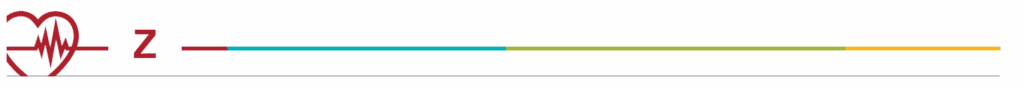 Letter Z header