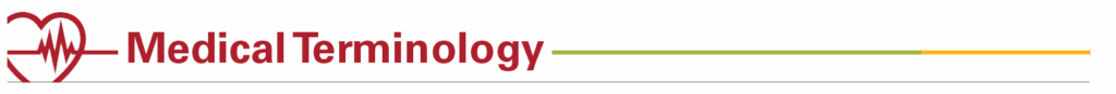 Medical Terminology header