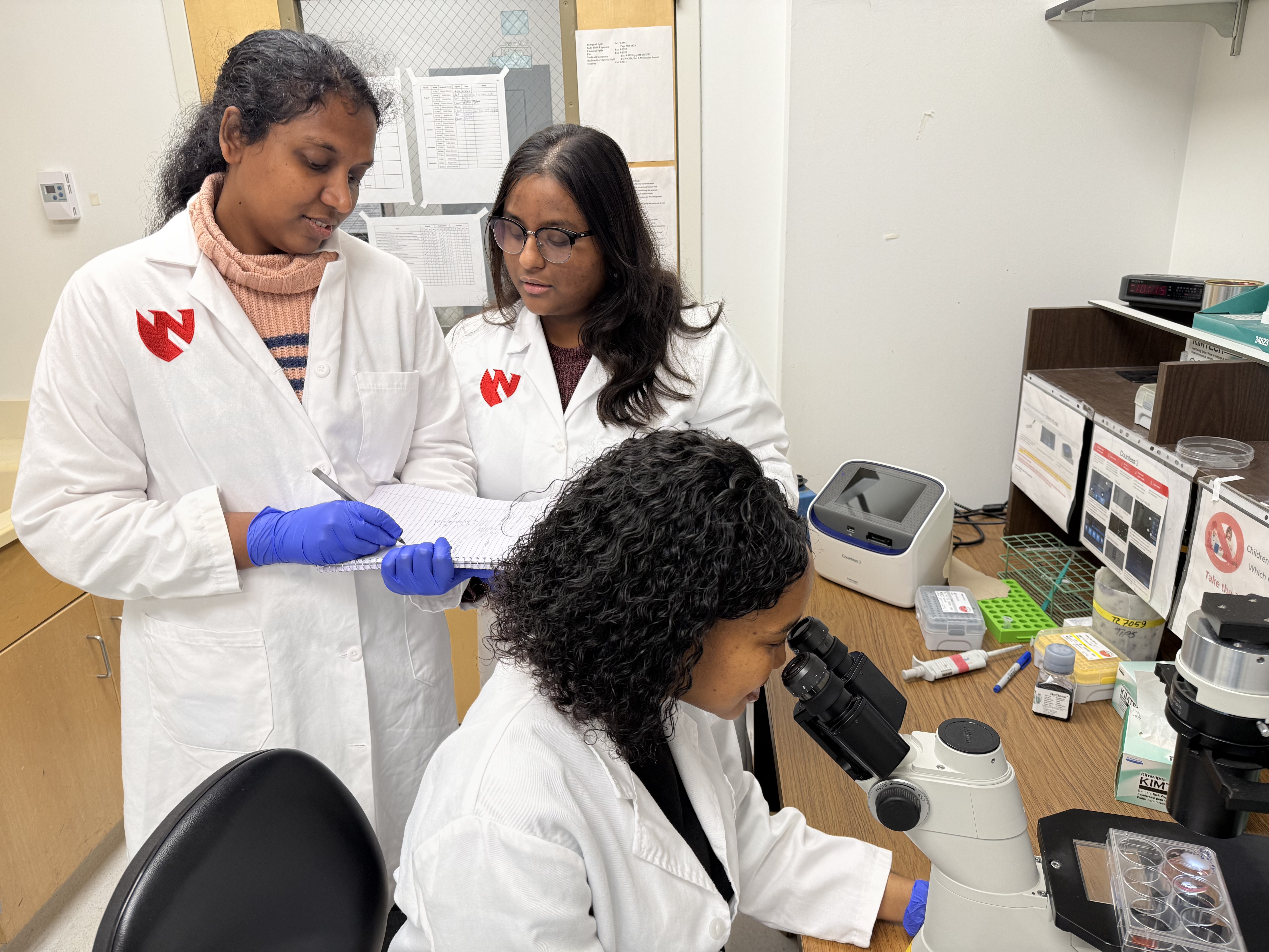 Entry 1 - Research in Action