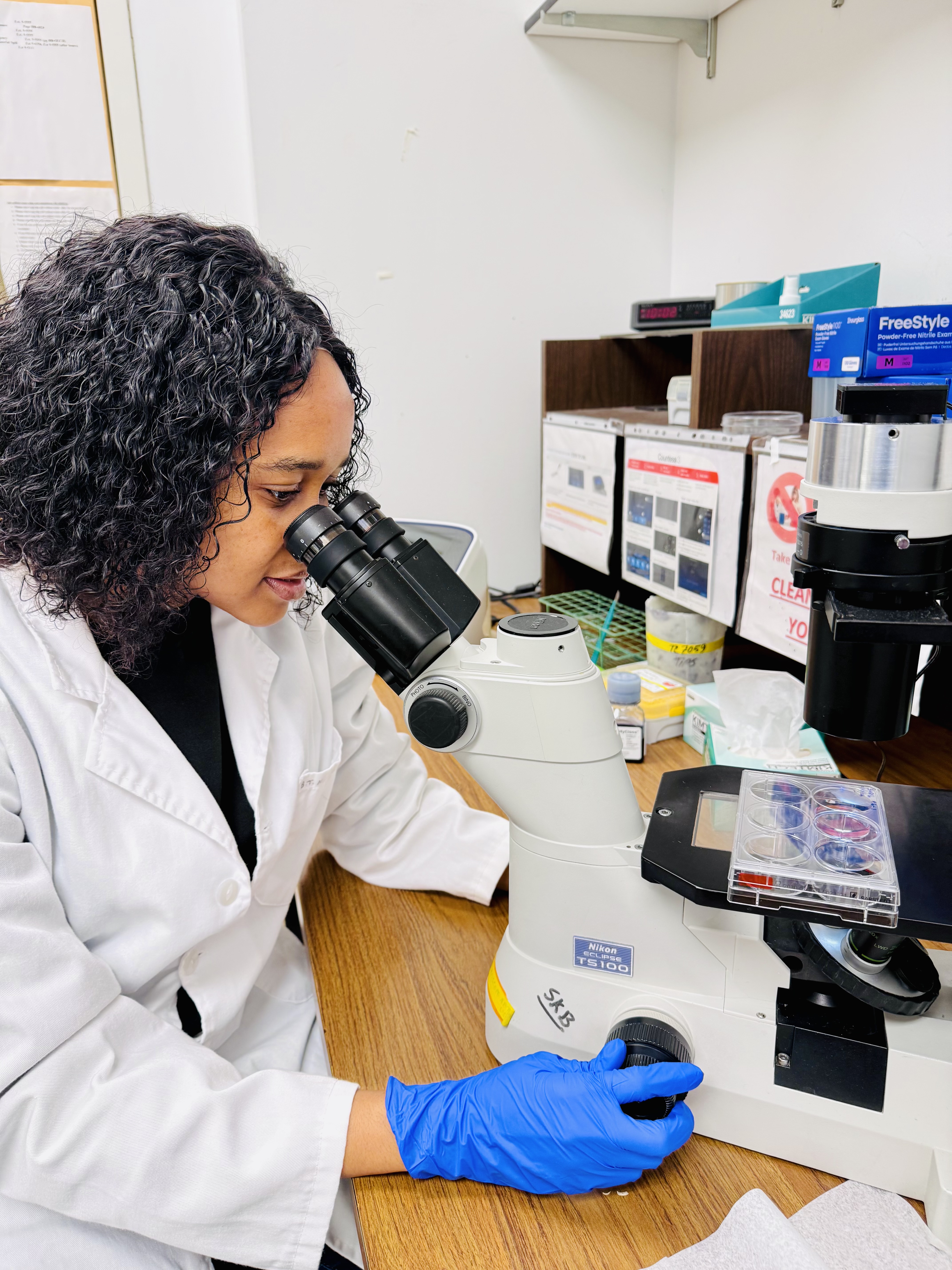 Entry 3 - Research in Action