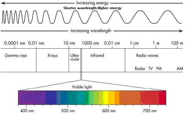 spectra image