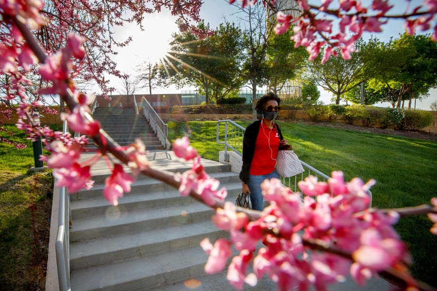 A woman walks on the UNMC campus surrounded by spring flowers